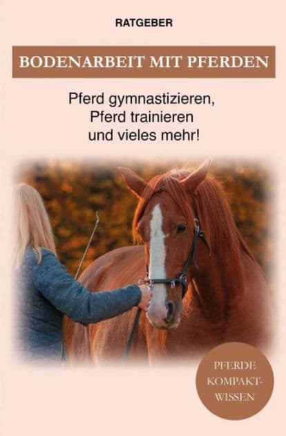 Bodenarbeit Pferd: Bodenarbeit mit Pferden, Pferd gymnastizieren, Pferdetraining und vieles mehr! by Pferde Kompaktwissen