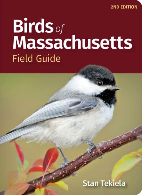 Birds of Massachusetts Field Guide by Stan Tekiela