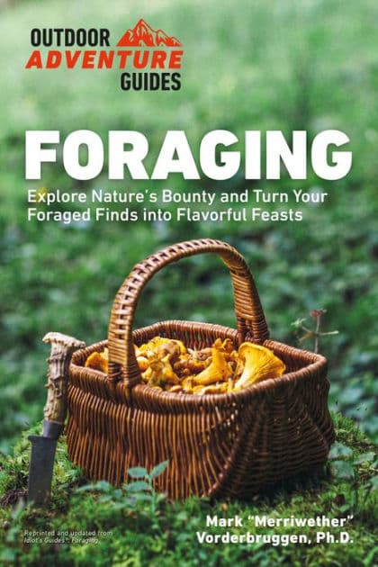Foraging: Explore Nature's Bounty and Turn Your Foraged Finds Into Flavorful Feasts by Mark Vorderbruggen