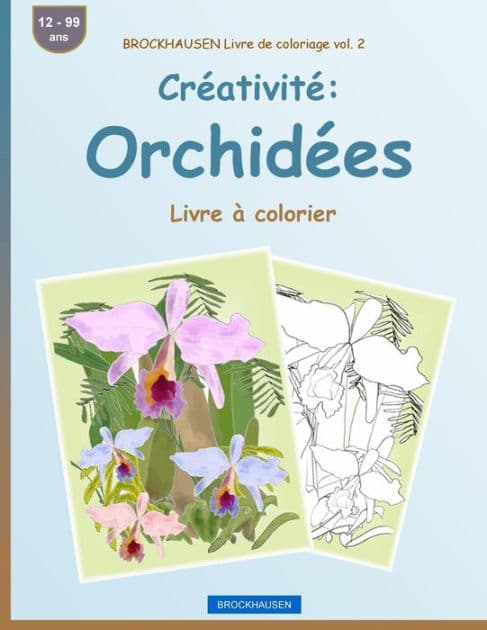 BROCKHAUSEN Livre de coloriage vol. 2 - Créativité: Orchidées: Livre à colorier by Dortje Golldack
