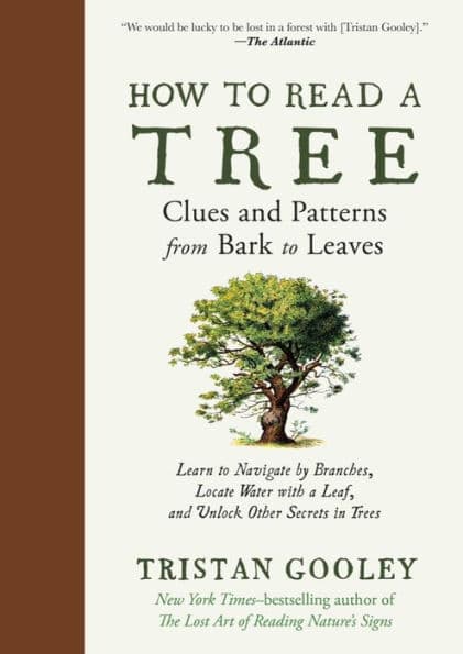 How to Read a Tree: Clues and Patterns from Bark to Leaves by Tristan Gooley
