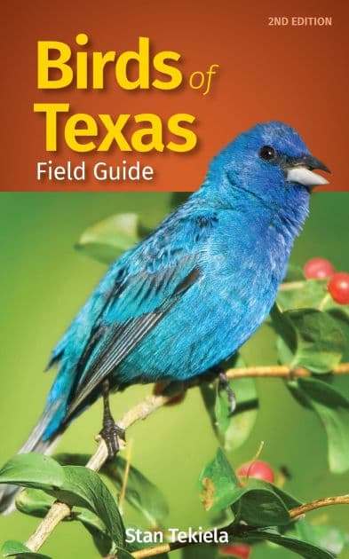 Birds of Texas Field Guide by Stan Tekiela