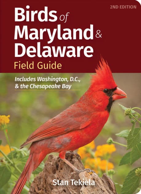 Birds of Maryland & Delaware Field Guide: Includes Washington, D.C., & the Chesapeake Bay by Stan Tekiela