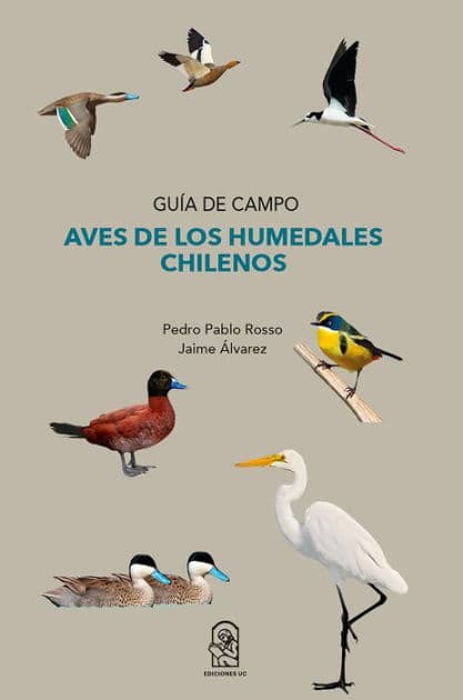 Aves de los humedales chilenos: Guía de campo by Pedro Pablo Rosso
