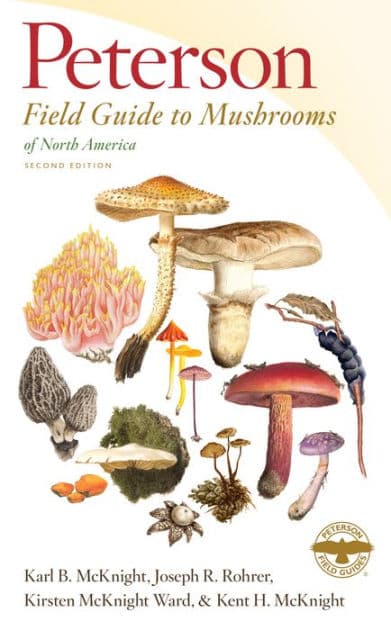 Peterson Field Guide To Mushrooms Of North America, Second Edition by Karl B McKnight