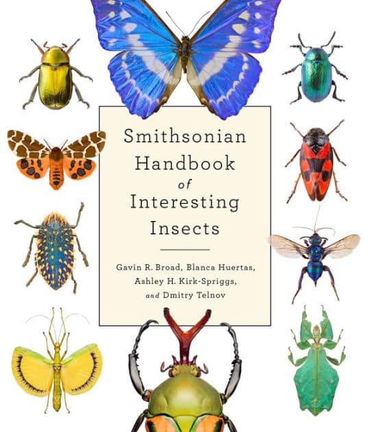 Smithsonian Handbook of Interesting Insects by Gavin Broad