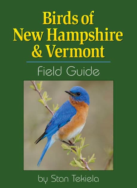 Birds of New Hampshire & Vermont Field Guide by Stan Tekiela