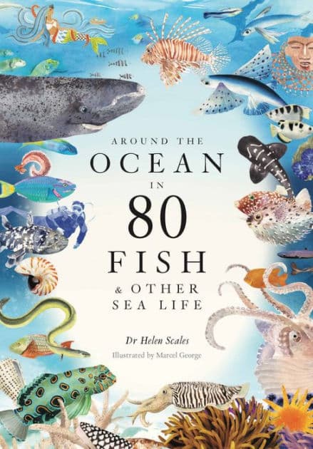 Around the Ocean in 80 Fish and other Sea Life by Helen Scales