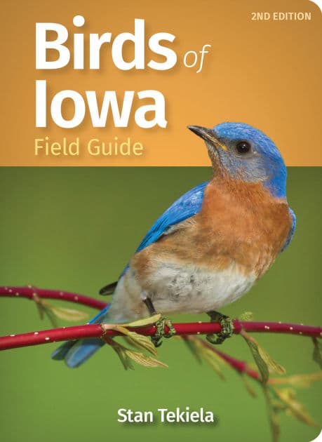 Birds of Iowa Field Guide by Stan Tekiela