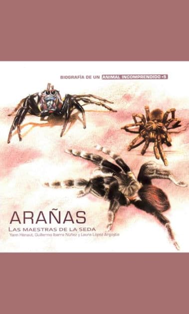 Arañas: Las maestras de la seda by Yann Hénaut