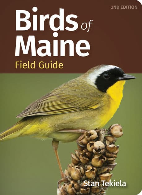 Birds of Maine Field Guide by Stan Tekiela