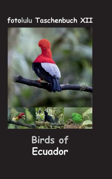 Birds of Ecuador: fotolulu Taschenbuch XII by Fotolulu
