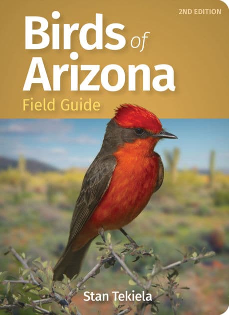 Birds of Arizona Field Guide by Stan Tekiela