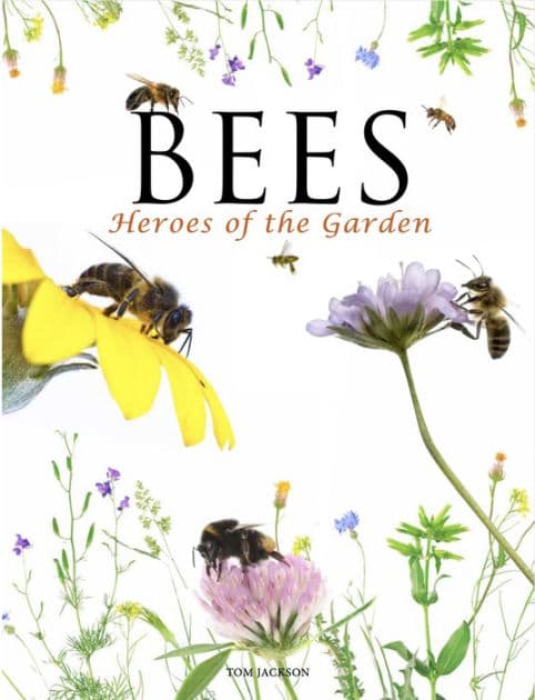 Bees by Jackson