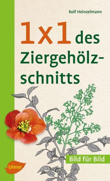 1 x 1 des Ziergehölzschnitts: Bild für Bild by Rolf Heinzelmann