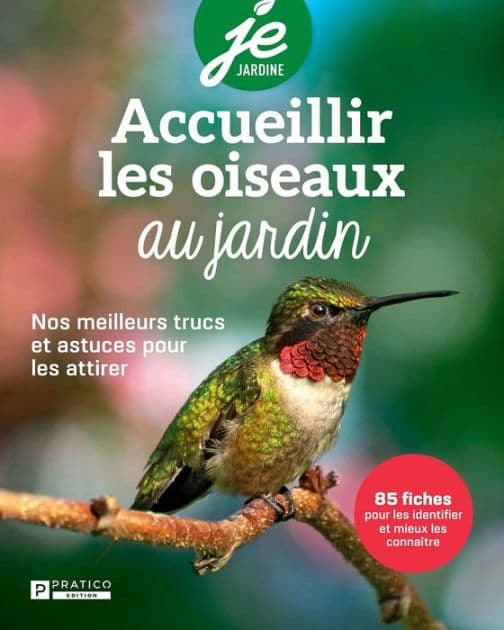 Accueillir les oiseaux au jardin: Nos meilleurs trucs et astuces pour les attirer by Pratico Édition Pratico Édition