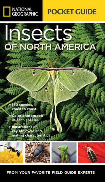 National Geographic Pocket Guide to Insects of North America: From Your Favorite Field Guide Experts by Arthur V. Evans