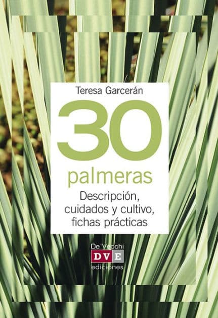 30 palmeras by Teresa Garcerán