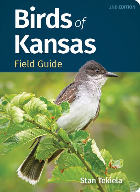 Birds of Kansas Field Guide by Stan Tekiela