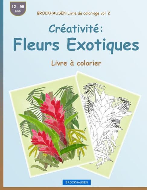 BROCKHAUSEN Livre de coloriage vol. 2 - Créativité: Fleurs Exotiques: Livre à colorier by Dortje Golldack