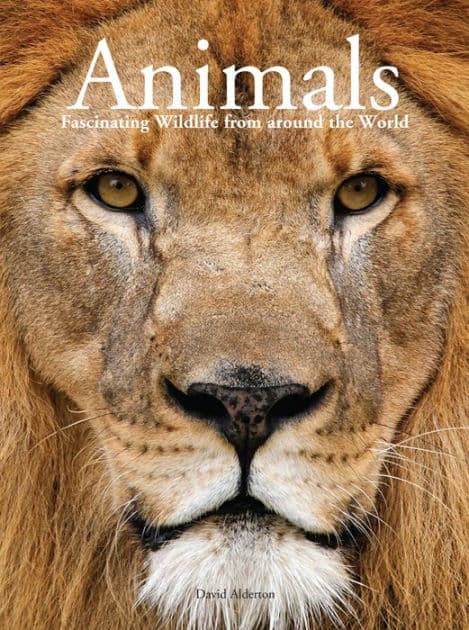 Animals: Fascinating Wildlife from around the World by David Alderton