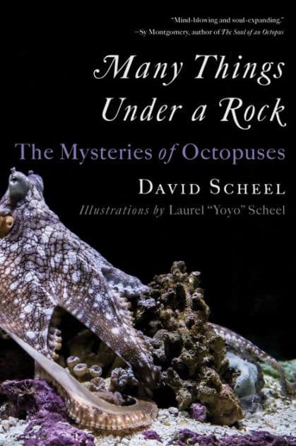Many Things Under a Rock: The Mysteries of Octopuses by David Scheel