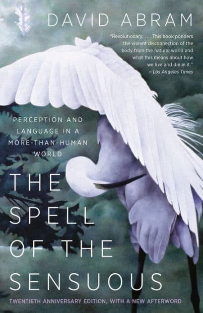 The Spell of the Sensuous: Perception and Language in a More-Than-Human World by David Abram