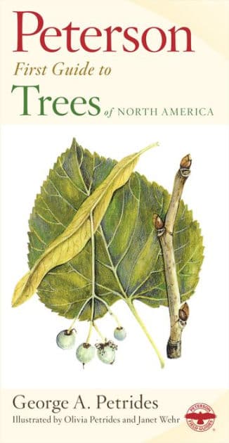 Peterson First Guide To Trees by George A. Petrides