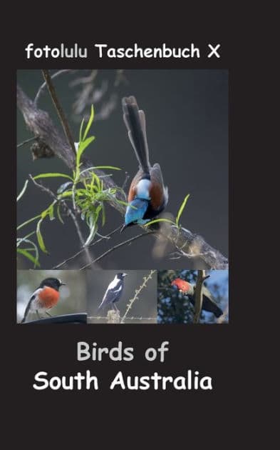 Birds of South Australia: fotolulu Taschenbuch X by Fotolulu