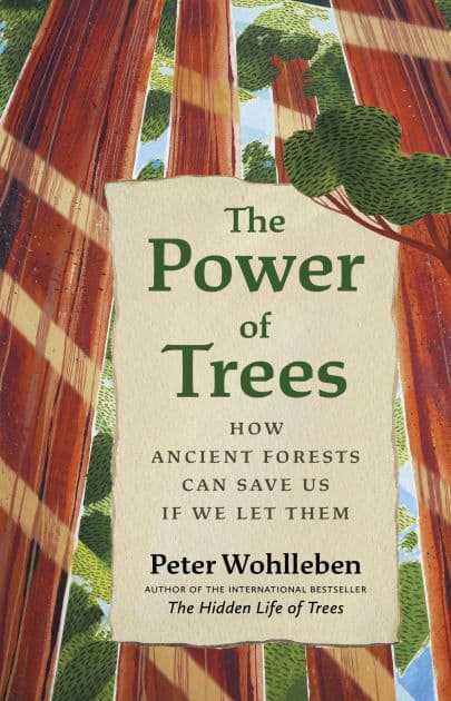 The Power of Trees: How Ancient Forests Can Save Us if We Let Them by Peter Wohlleben