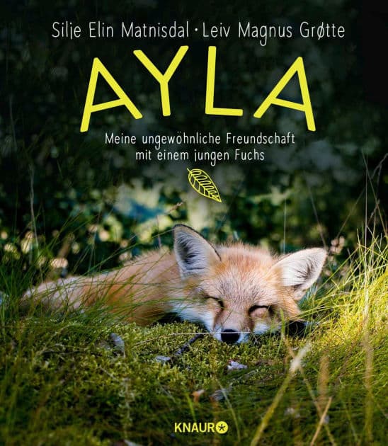 Ayla - meine ungewöhnliche Freundschaft mit einem jungen Fuchs by Silje Elin Matnisdal