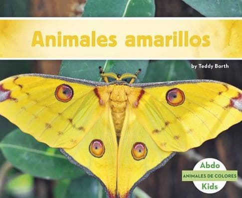 Animales amarillos by Teddy Borth