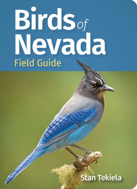 Birds of Nevada Field Guide by Stan Tekiela