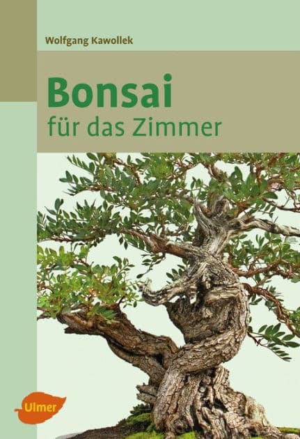 Bonsai für das Zimmer by Wolfgang Kawollek