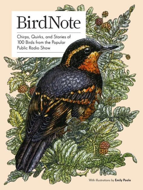 BirdNote: 100 Illustrated Bird Stories to Inspire Your Bird Watching by BirdNote