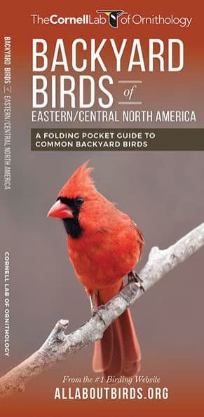 Backyard Birds of Eastern/Central North America: A Folding Pocket Guide to Common Backyard Birds by The Cornell Lab of Ornithology