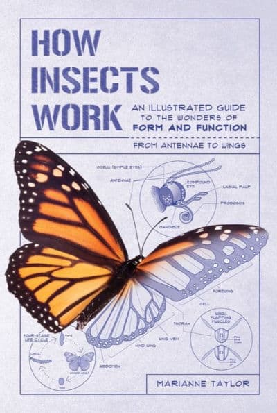 How Insects Work: An Illustrated Guide to the Wonders of Form and Function - from Antennae to Wings by Marianne Taylor