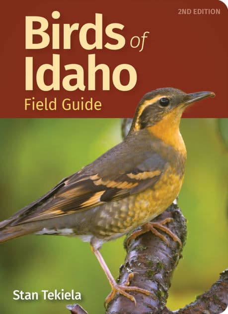 Birds of Idaho Field Guide by Stan Tekiela