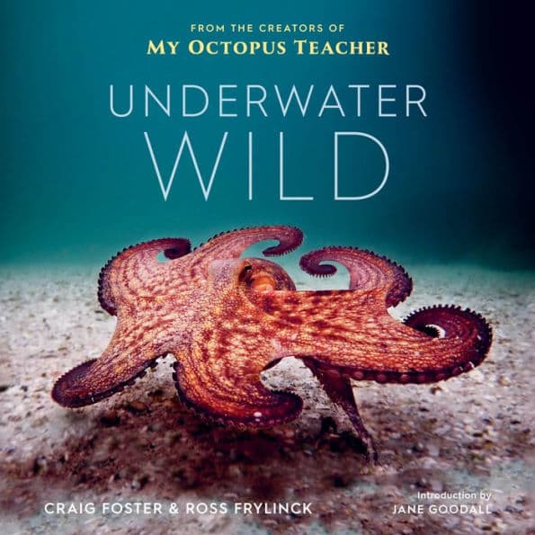 Underwater Wild: My Octopus Teacher's Extraordinary World by Craig Foster