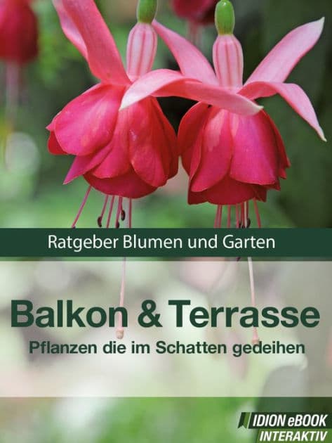 Balkon & Terasse - Pflanzen die im Schatten gedeihen: Ratgeber Blumen und Garten by Red. Serges Verlag