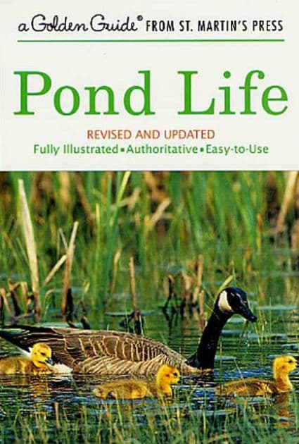 Pond Life: Revised and Updated by George K. Reid