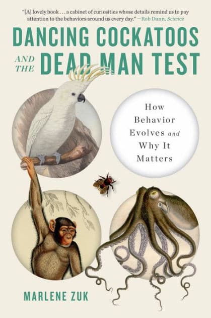 Dancing Cockatoos and the Dead Man Test: How Behavior Evolves and Why It Matters by Marlene Zuk