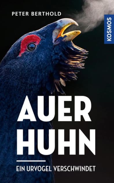 Auerhuhn: Ein Urvogel verschwindet by Peter Berthold