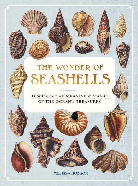 The Wonder of Seashells: Discover the Meaning & Magic of the Ocean's Treasures by Melissa Hobson