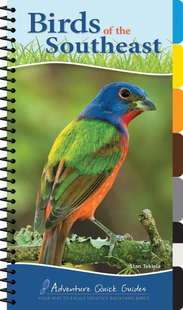 Birds of the Southeast Quick Guide by Stan Tekiela
