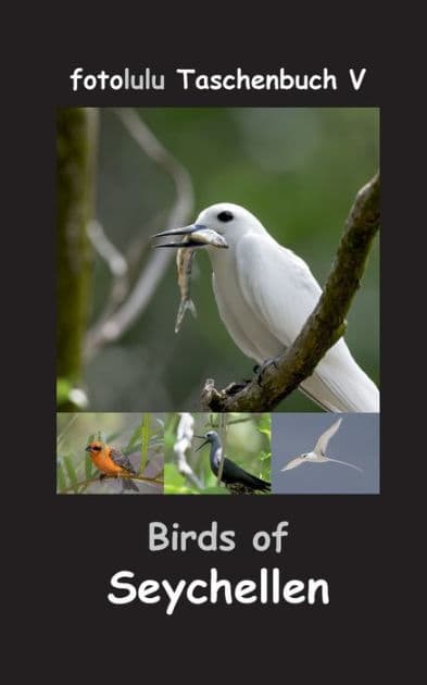 Birds of Seychellen by Fotolulu