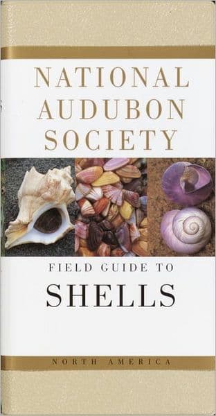National Audubon Society Field Guide to Shells: North America by National Audubon Society