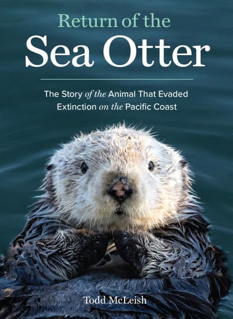 Return of the Sea Otter: The Story of the Animal That Evaded Extinction on the Pacific Coast by Todd McLeish