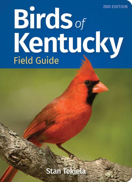 Birds of Kentucky Field Guide by Stan Tekiela
