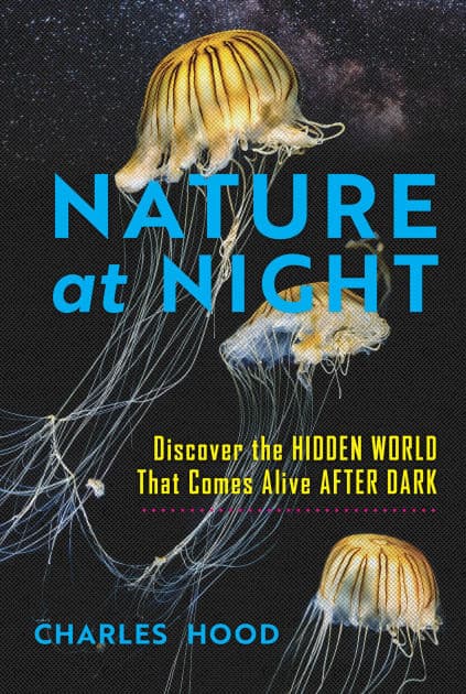 Nature at Night: Discover the Hidden World That Comes Alive after Dark by Charles Hood